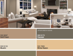 Indoor Living Room Paint Colors