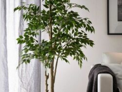 Artificial Plants In Living Room Ideas