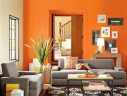 Orange Colour Combination Living Room
