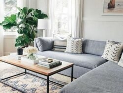 Grey Couch Boho Living Room