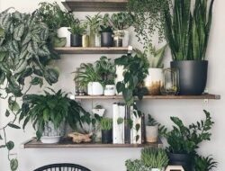 Living Room Wall Planters Indoor