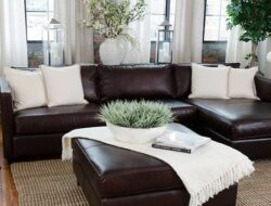 Dark Brown Couch Living Room