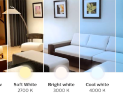 Daylight Vs Soft White For Living Room