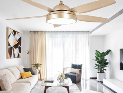 Decorative Ceiling Fans For Living Room