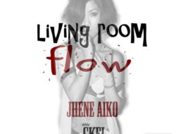 Living Room Flow Remix