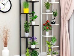 Living Room Indoor Plant Stands