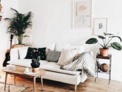 Minimalist Living Room With Plants