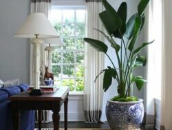 Living Room Tall Indoor Plants