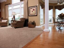 Living Room With Carpet And Laminate