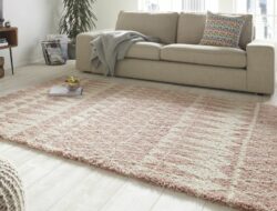Pink Rugs For Living Room